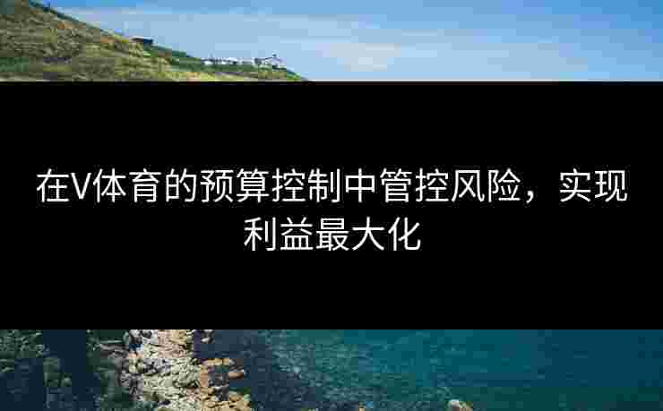 在V体育的预算控制中管控风险，实现利益最大化