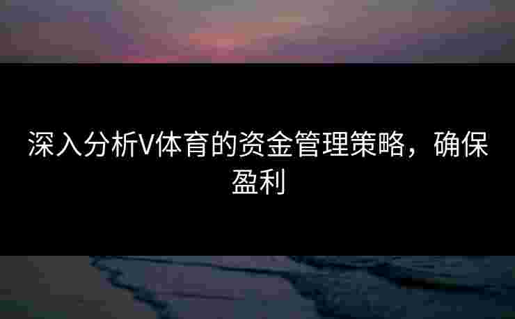 深入分析V体育的资金管理策略，确保盈利