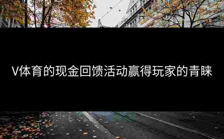 V体育的现金回馈活动赢得玩家的青睐