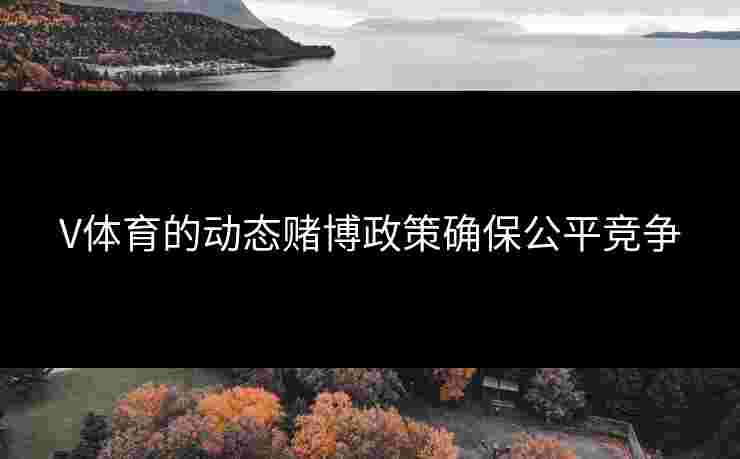 V体育的动态赌博政策确保公平竞争