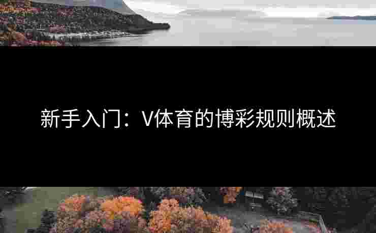 新手入门：V体育的博彩规则概述