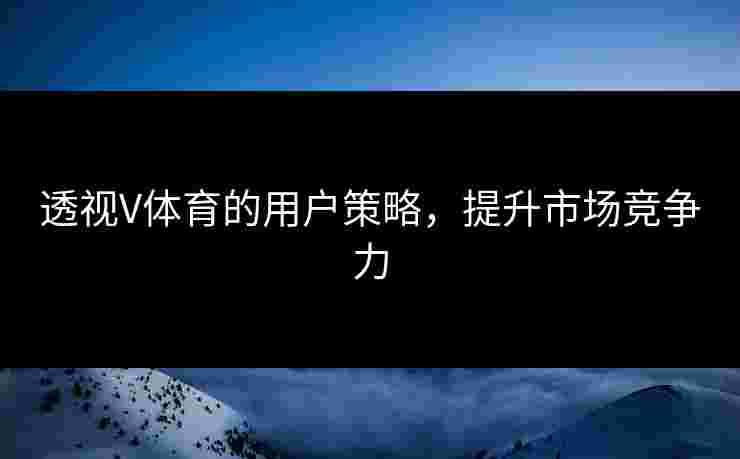透视V体育的用户策略，提升市场竞争力