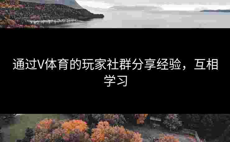 通过V体育的玩家社群分享经验，互相学习